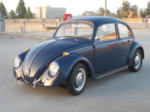 1967 volkswagen beetle - beautiful bug!
