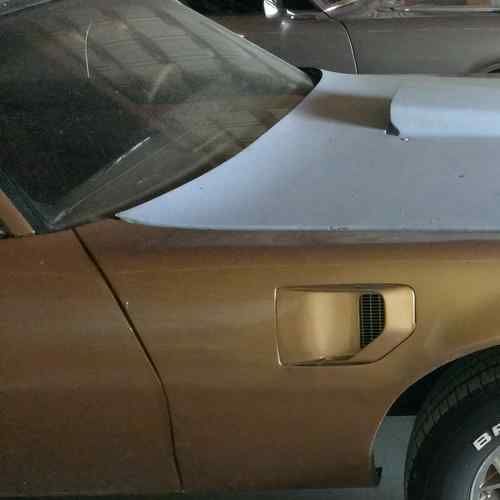 1978 trans am project car built 455 olds motor- lots on extra parts new tires nr