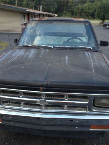 1989 chevy s10 pick up