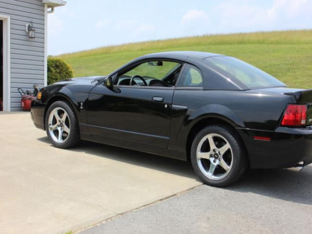2004 - ford mustang