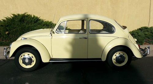 1967 volkswagon beetle