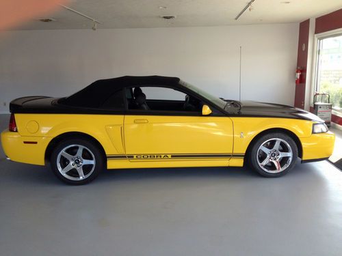 Beautiful 2004 mustang termintor supercharged cobra convt only 66,000 miles!