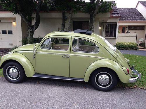 1962 vw beetle ragtop