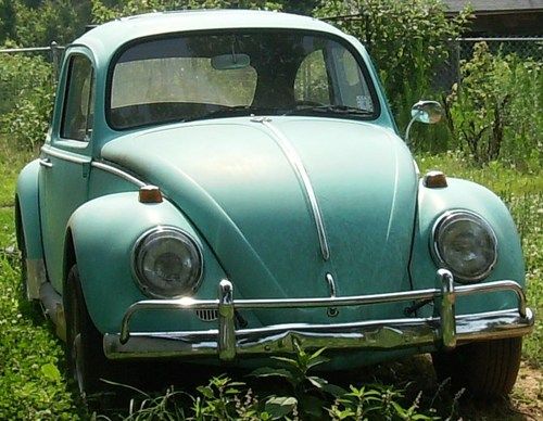 1965 volkswagen beetle vintage classic vm bug