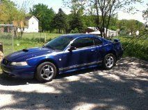 2004 ford mustang.