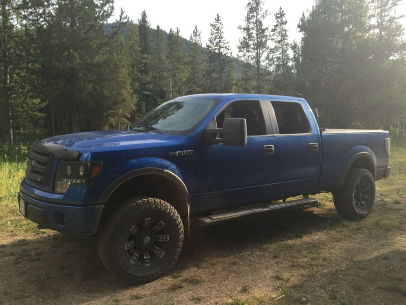 2010 ford f-150 fx4