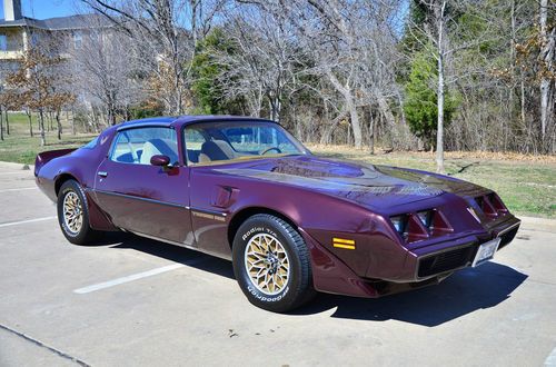 1980 turbo v8 firebird trans am beautifully restored with ws6 package, t-tops