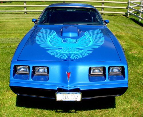1981 pontiac trans-am bright blue metallic