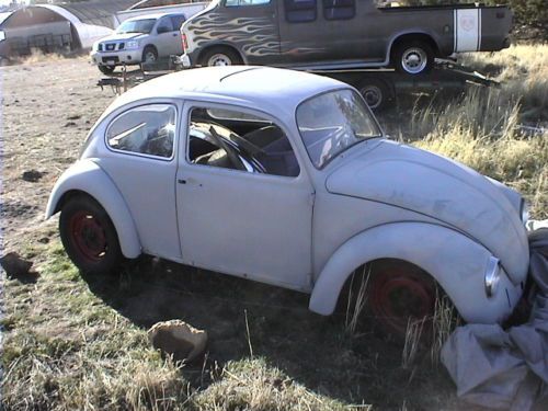 1969 vw volkswagen bug with sunroof project