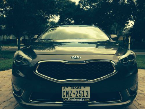 2014 kia cadenza with luxury and technology packages