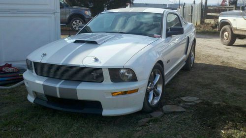 Shelby gt 2007