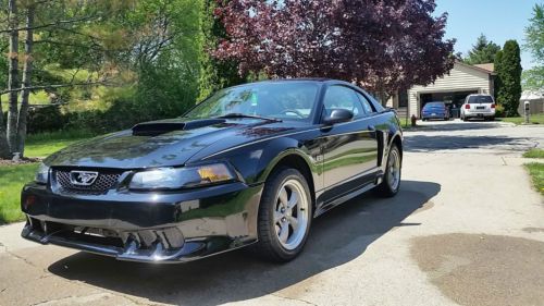 2002 black ford mustang gt saleen w/ gray leather interior 50,000 miles *mint*