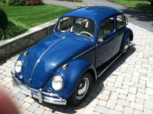 Restored 1964 blue volkswagen beetle