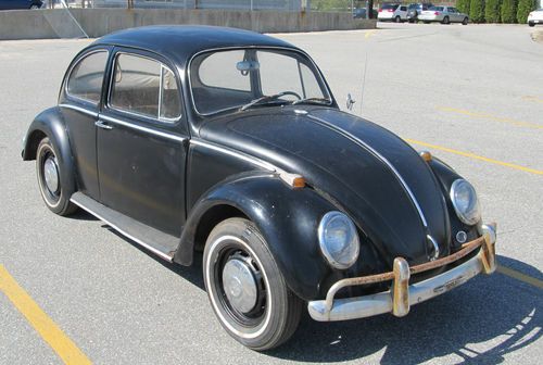 1966 volkswagen beetle true barn find with awesome patina