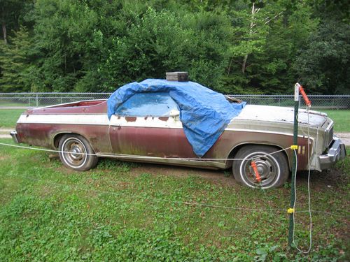 1976 elcamino classic. project car or for parts