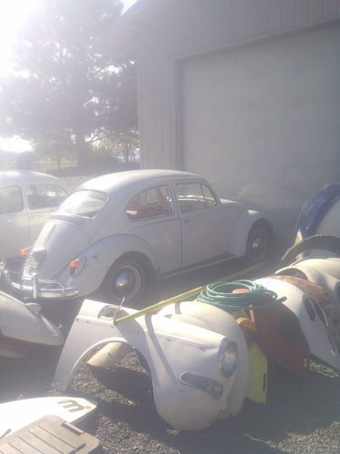 1965 beetle/bug, original patina, orig paint, shows 98k, great runner/daily drvr