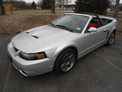 2003 mustang cobra 10th anniversary svt, low miles, salvage, rebuildable