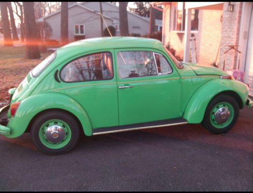 Volkswagen vw beetle bug
