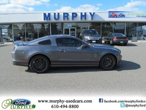 2013 ford 2dr cpe shelby gt500