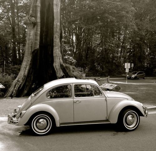 1967 vw beetle survivor-original paint
