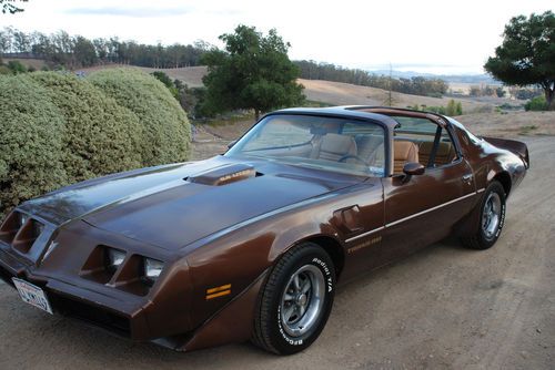 1979 pontiac trans am. stock, clean, original, one owner #'s matching driver