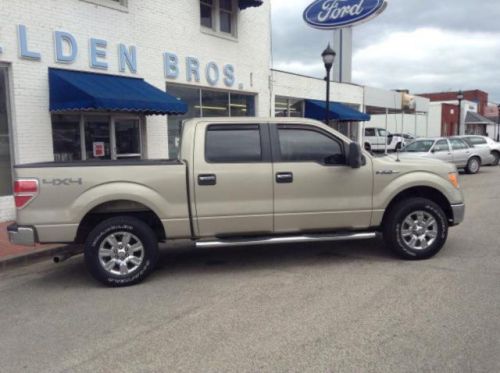 2009 ford f150
