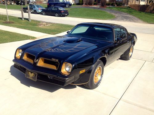 1976 trans am 50th anniversary y82 special edition with hurst t-tops