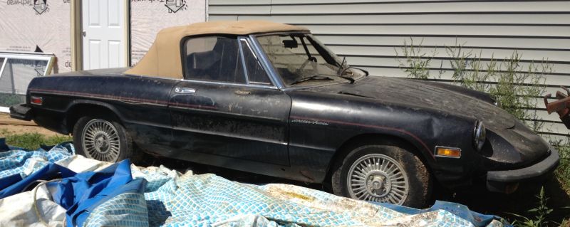 Project alfa veloce for sale
