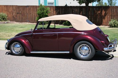 1959 convertible bug beautiful restoration