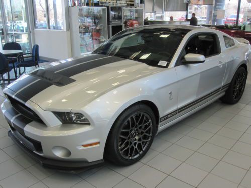 Glass roof, leather, track package, shaker pro system, gt500