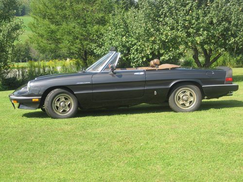 1983 alfa romeo spder veloce, 2-door convertible, metallic black. restored