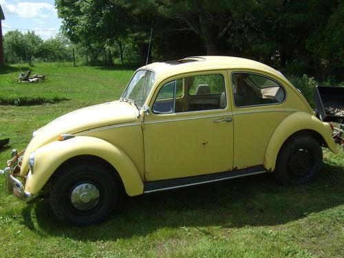 1967 sunroof project beetle