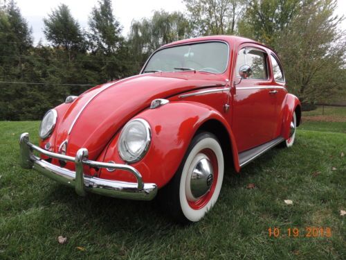 1963 volkswagon beetle   beautiful restored example   classic show condition!!