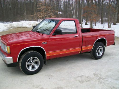 1989 s-10 pickup