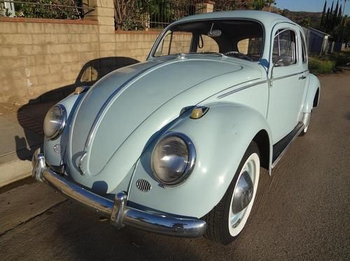 1960 european volkswagen bug beetle  "solid"