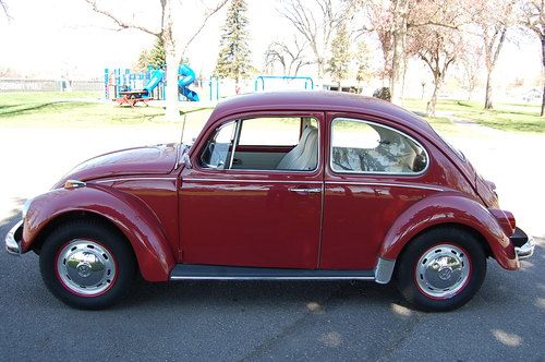 1969 beetle "silver model" by golden beetle co.